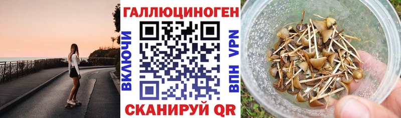 наркошоп  Долгопрудный  Галлюциногенные грибы Cubensis 